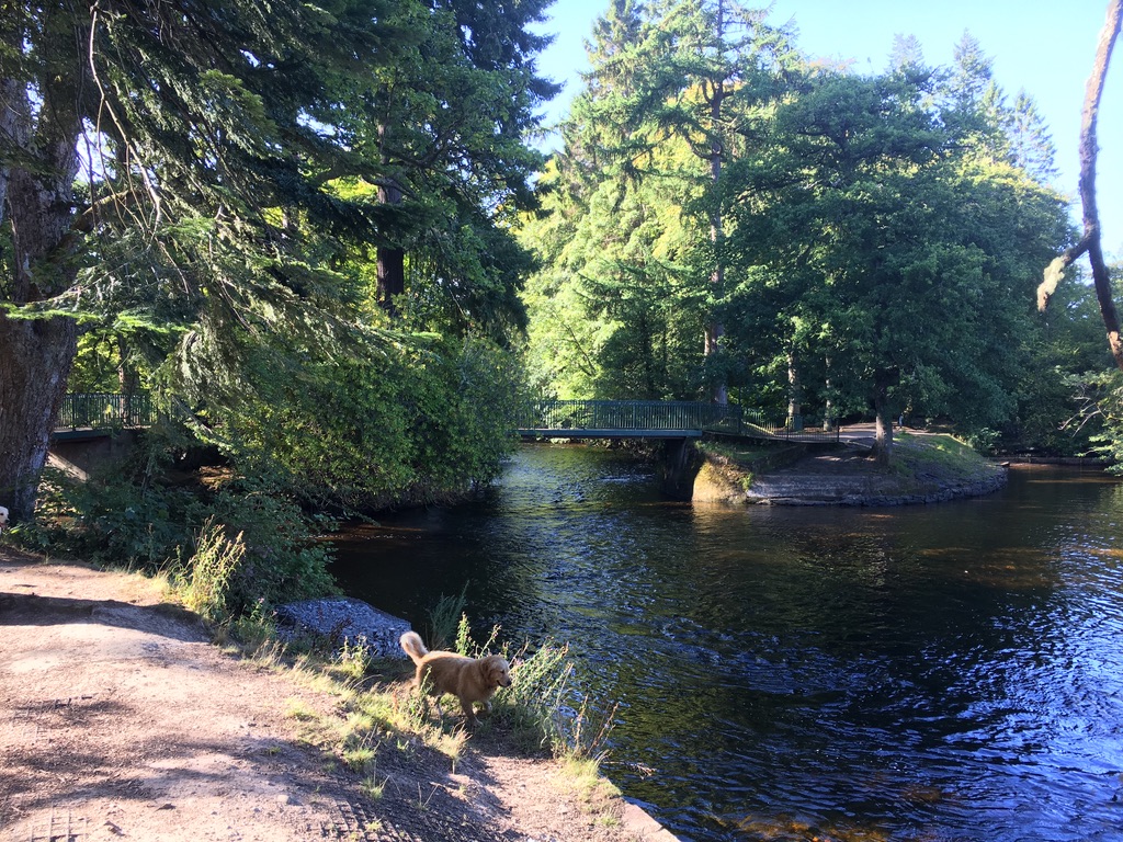 Scottish Highland scenery near Inverness